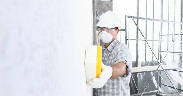 Best Post-Construction Mold Inspection  in Chatsworth, GA