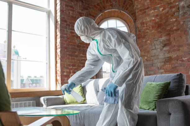 Best Forensic Mold Investigation  in Chatsworth, GA